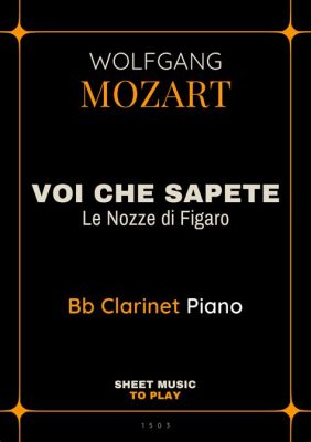 Voi Che Sapete – A Heartfelt Plea Amidst Sparkling Viennese Melodies